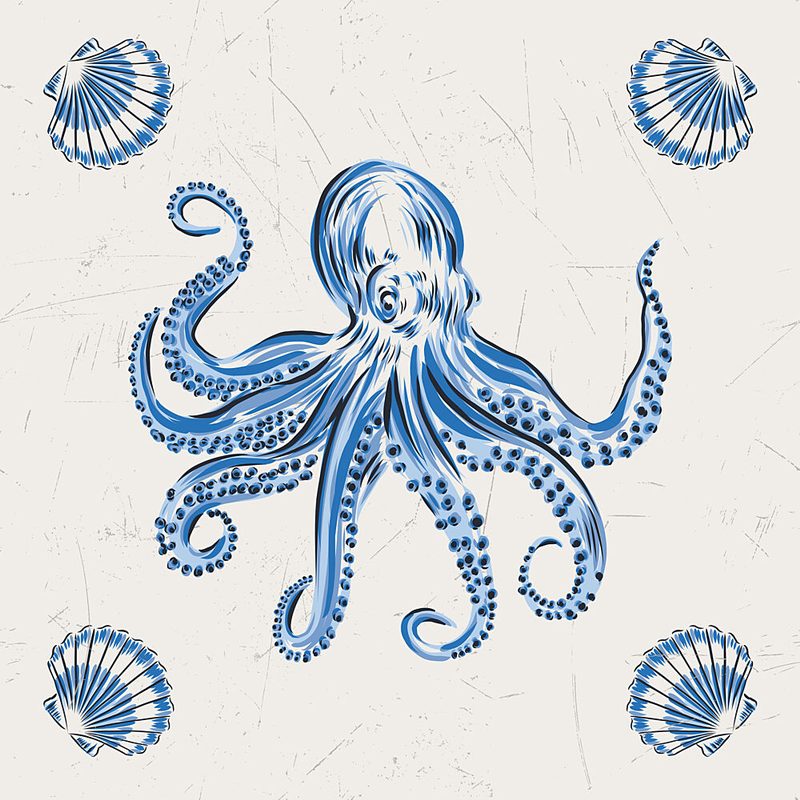Blue Octopus and Shells art print by Alexandra Weise for $57.95 CAD