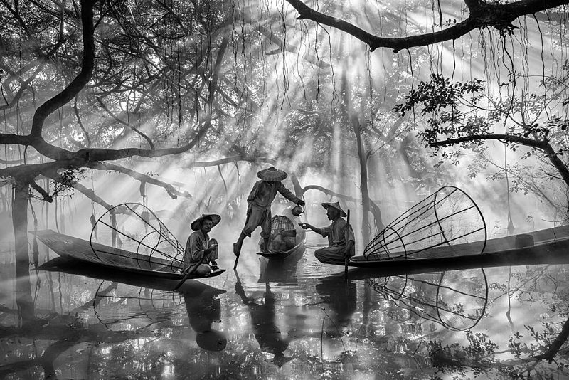 Misty Jungle Fishermen art print by Nevra Topalismailoglu for $57.95 CAD