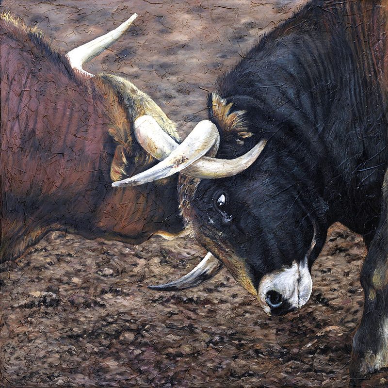 Clash of Bulls art print by Eduardo Jimenez Aguirre for $57.95 CAD