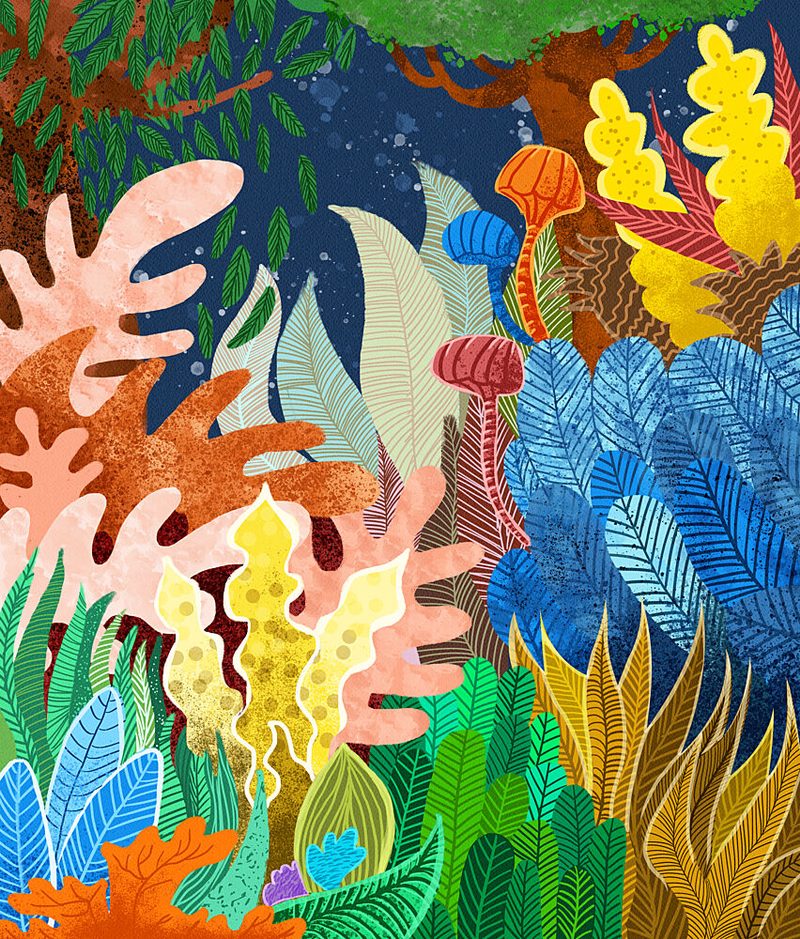 Vibrant Jungle Flora art print by Uma Gokhale for $57.95 CAD