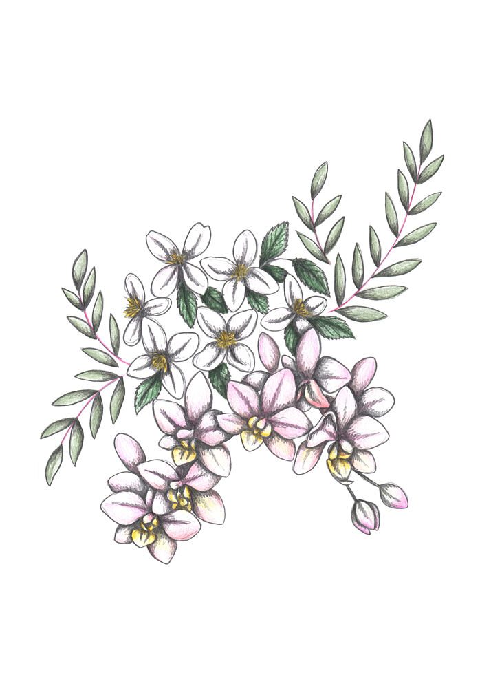 Pink Orchid Blossoms art print by Cecilia Battaini for $57.95 CAD