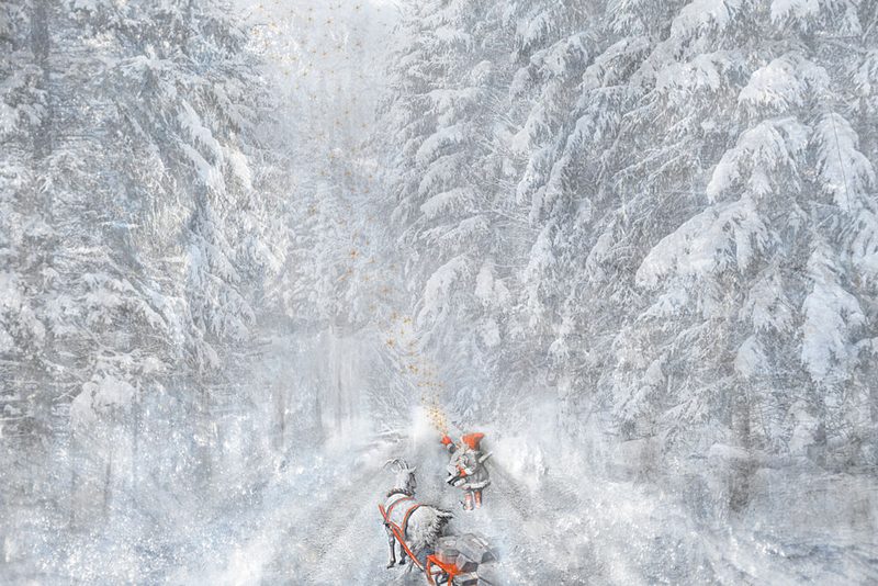 Winter Journey art print by Christina Sillen for $57.95 CAD