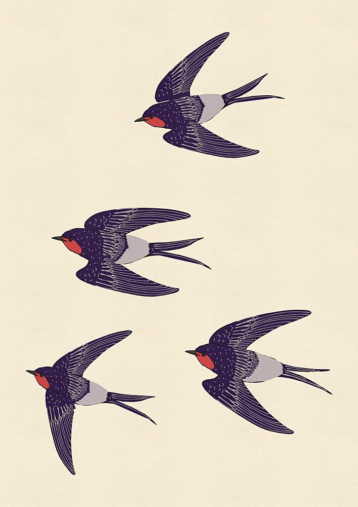 Barn Swallows in Flight art print by Nicholas for $57.95 CAD