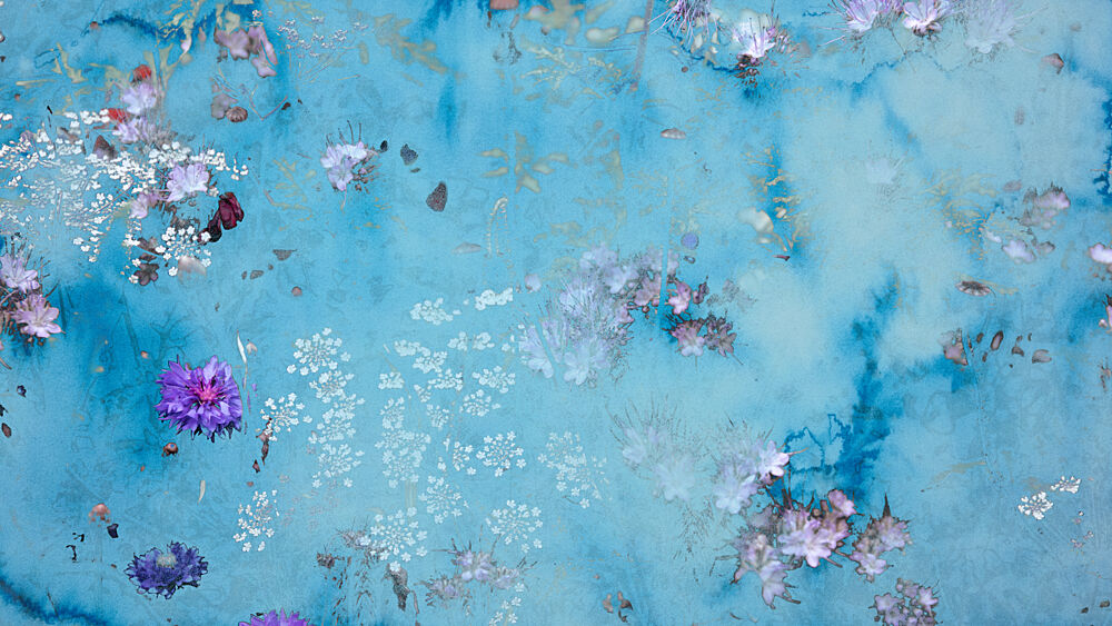 Floating Blue Flowers art print by Miriam Stayte for $57.95 CAD