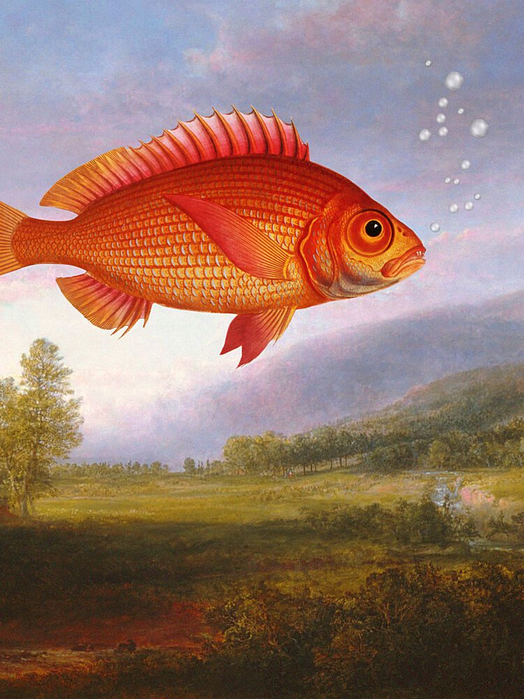 Flying Goldfish Dream art print by Marja van den Hurk for $57.95 CAD