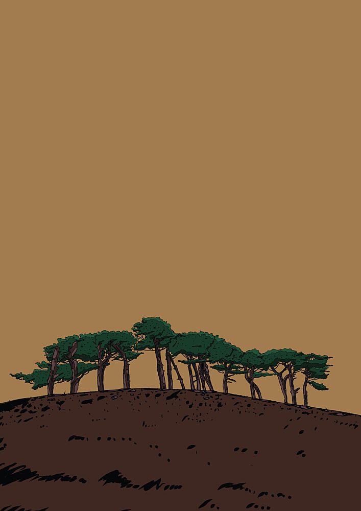 Graphic Hillside Pines art print by Nicholas for $57.95 CAD