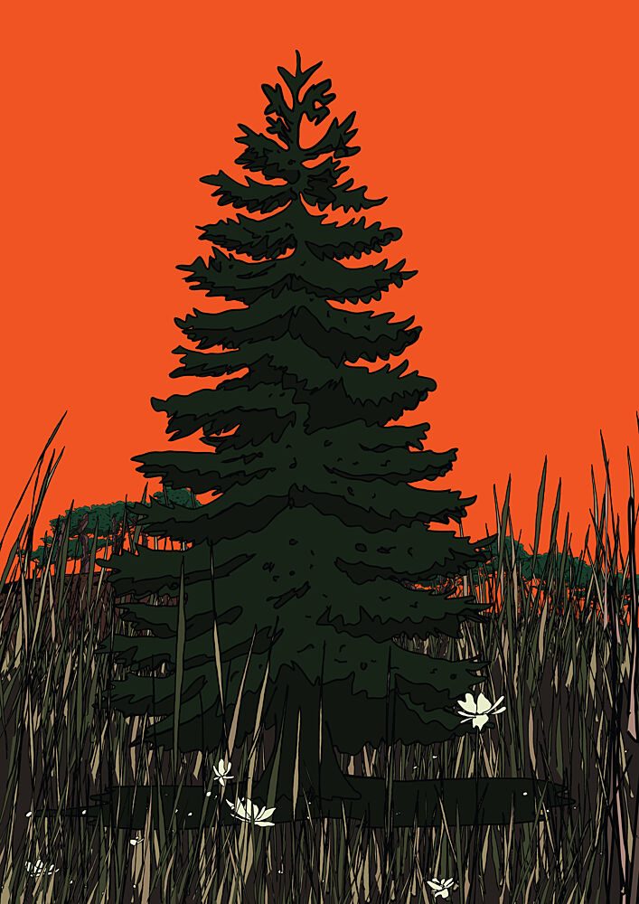 Dramatic Pine Sunset art print by Nicholas for $57.95 CAD