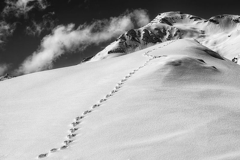 Footprints up Snowy Mountain art print by Uschi Hermann for $57.95 CAD