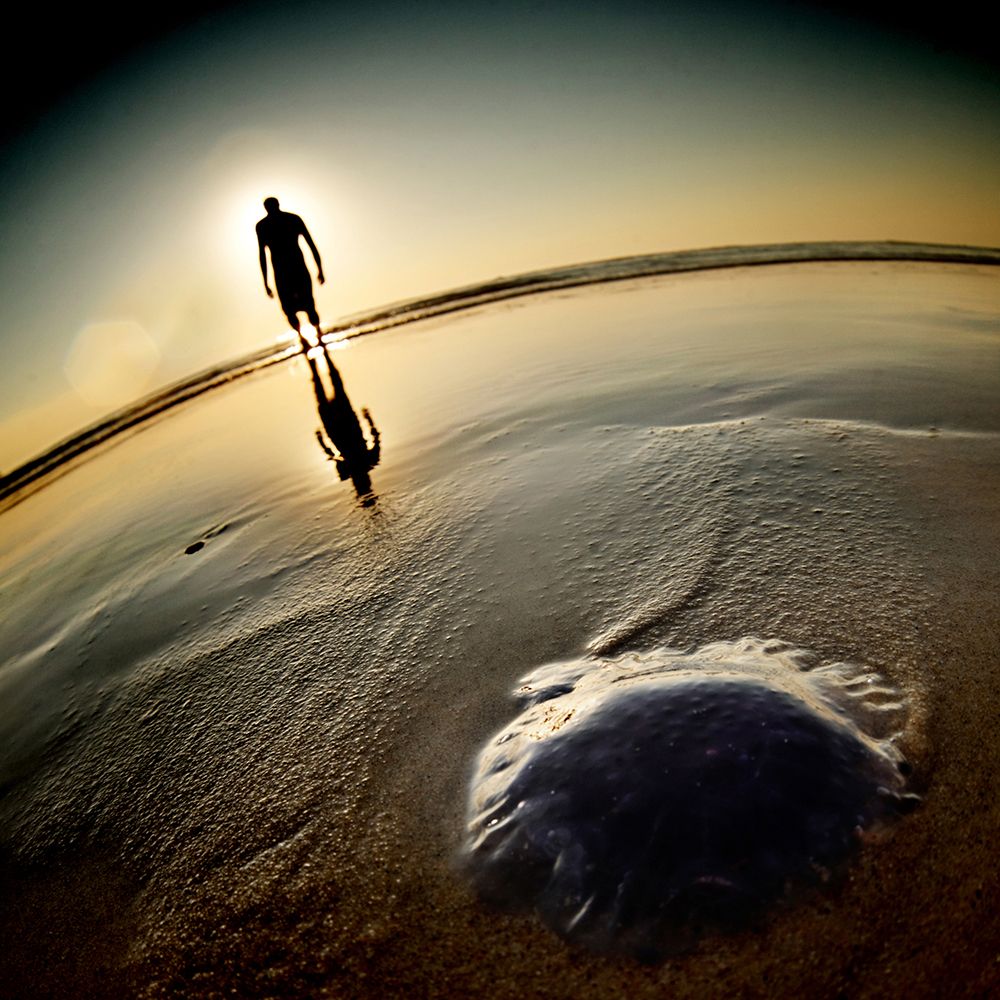 Some kinds of beasts art print by Thoum for $57.95 CAD