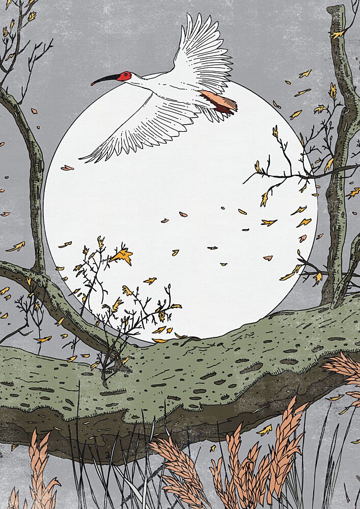 Moonlit Ibis Flight art print by Nicholas for $57.95 CAD