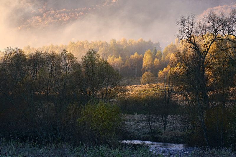 Golden Morning Fog art print by Wieslaw Wies Kosciukiewicz for $57.95 CAD