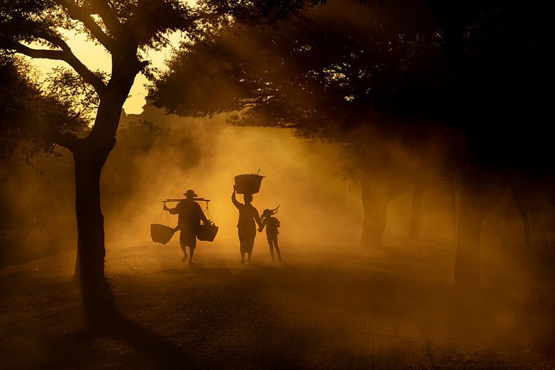 Misty Golden Walk art print by Nevra Topalismailoglu for $57.95 CAD