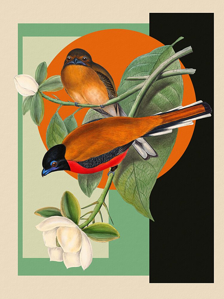 Vibrant Birds and Magnolia art print by Marja van den Hurk for $57.95 CAD