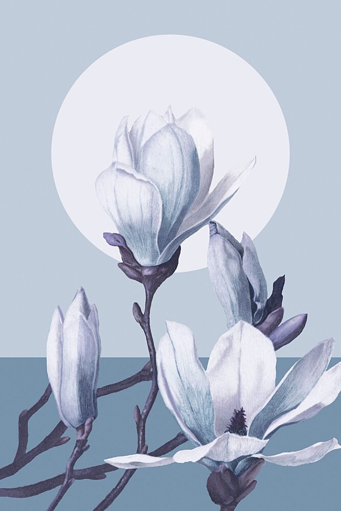 Serene Magnolia Blooms art print by Marja van den Hurk for $57.95 CAD