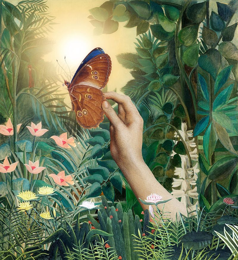 Tropical Butterfly Encounter art print by Marja van den Hurk for $57.95 CAD