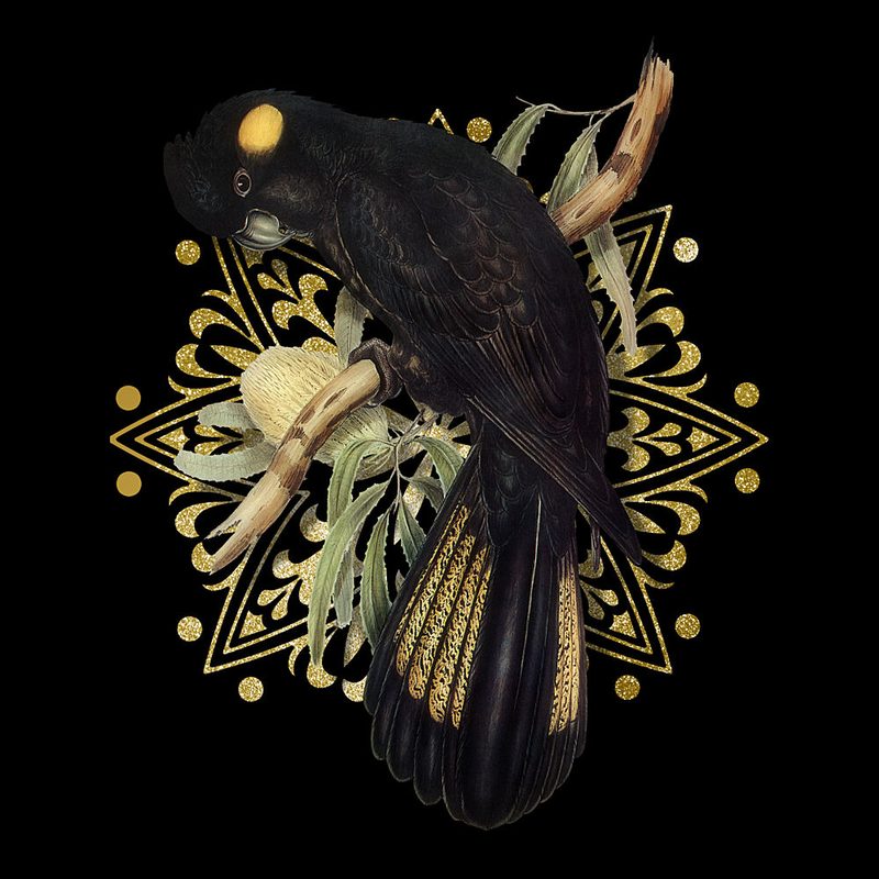 Golden Black Cockatoo art print by Marja van den Hurk for $57.95 CAD