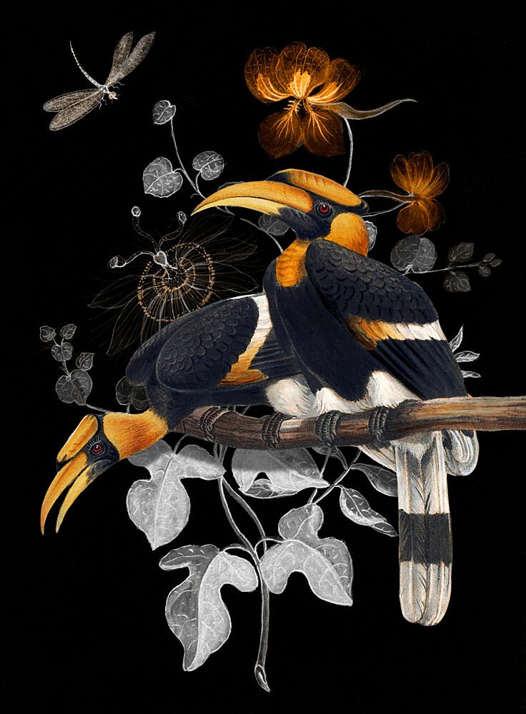 Golden Hornbills Dark Botanical art print by Marja van den Hurk for $57.95 CAD