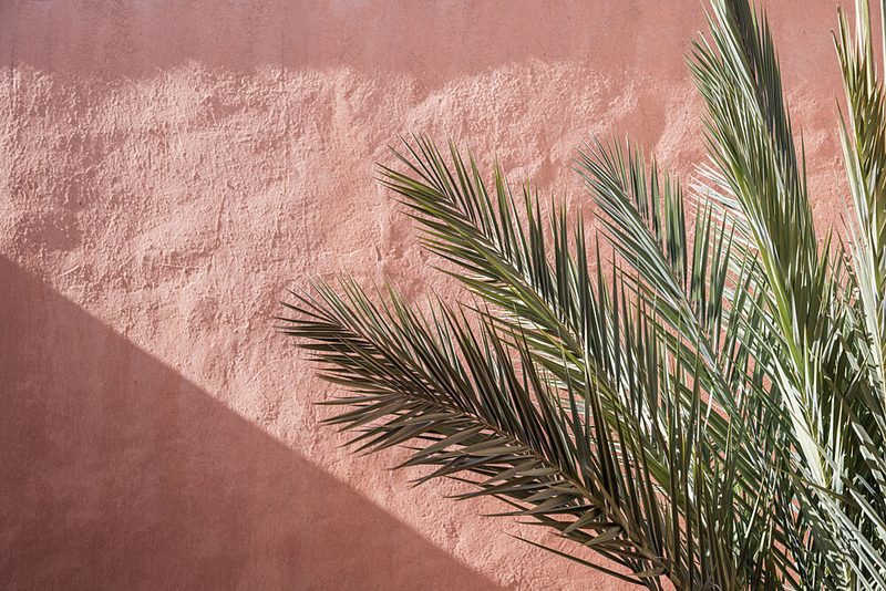 Palm Shadow on Pink Wall art print by Photolovers for $57.95 CAD