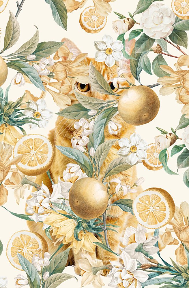 Ginger Cat Citrus Garden art print by Marja van den Hurk for $57.95 CAD