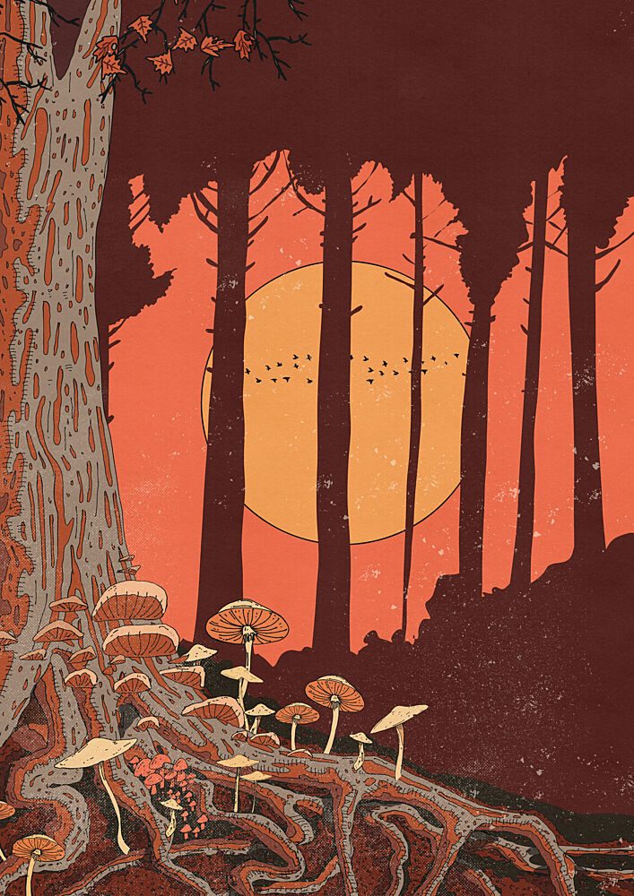 Sunset Mushroom Forest art print by Nicholas for $57.95 CAD