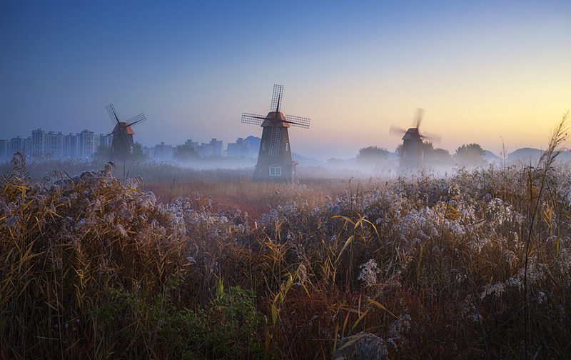 Misty Windmills Morning art print by Tiger Seo for $57.95 CAD