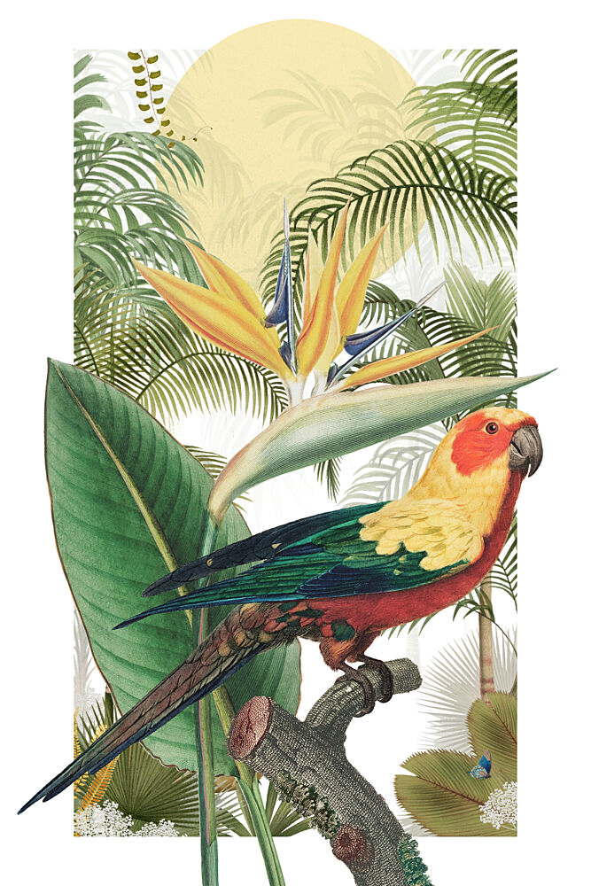 Tropical Parrot Paradise art print by Marja van den Hurk for $57.95 CAD