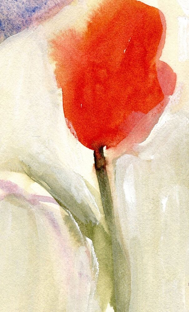 Vibrant Red Tulip Bloom art print by Janel Bragg for $57.95 CAD
