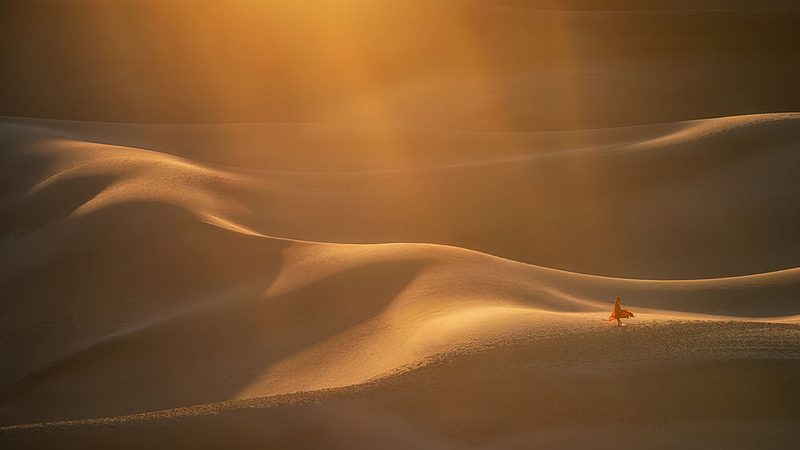 Golden Desert Solitude art print by Mei Xu for $57.95 CAD