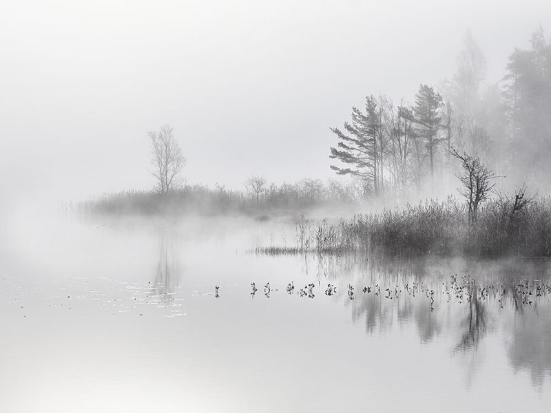 Misty Lake Morning art print by Tore Johansson for $57.95 CAD