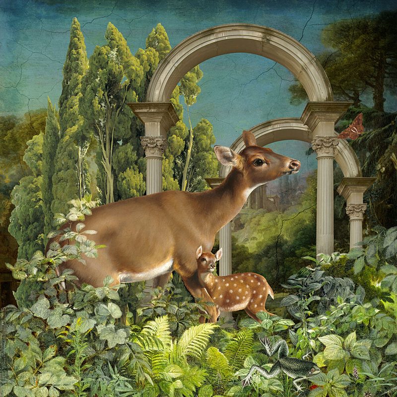 Deer Fawn Sanctuary art print by Marja van den Hurk for $57.95 CAD