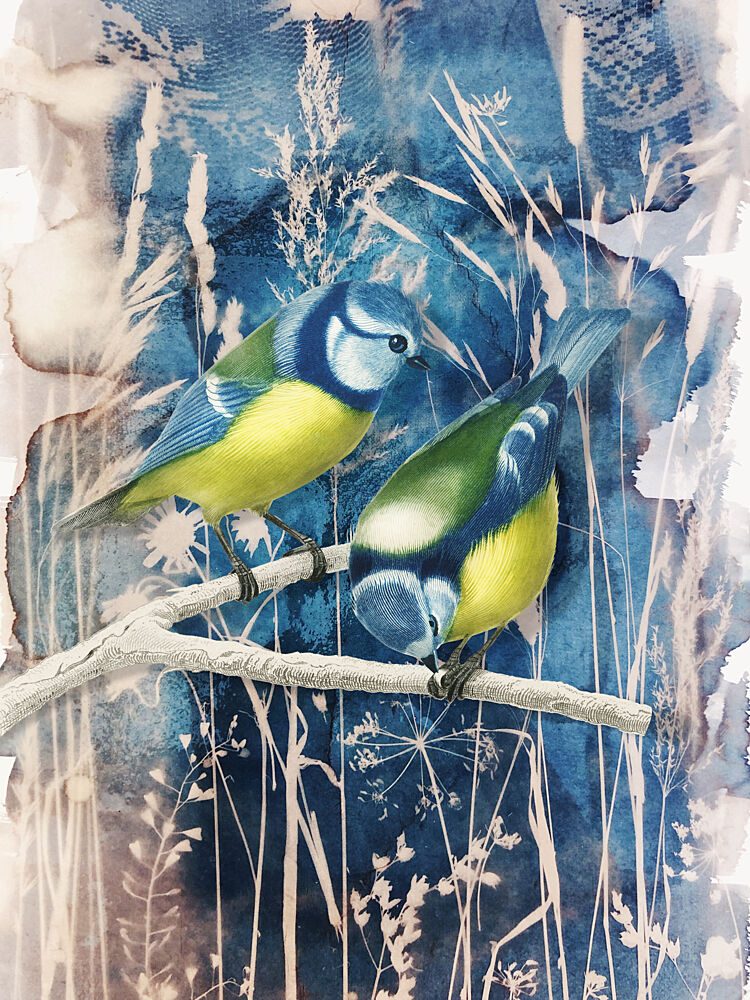 Winter Blue Tits art print by Marja van den Hurk for $57.95 CAD