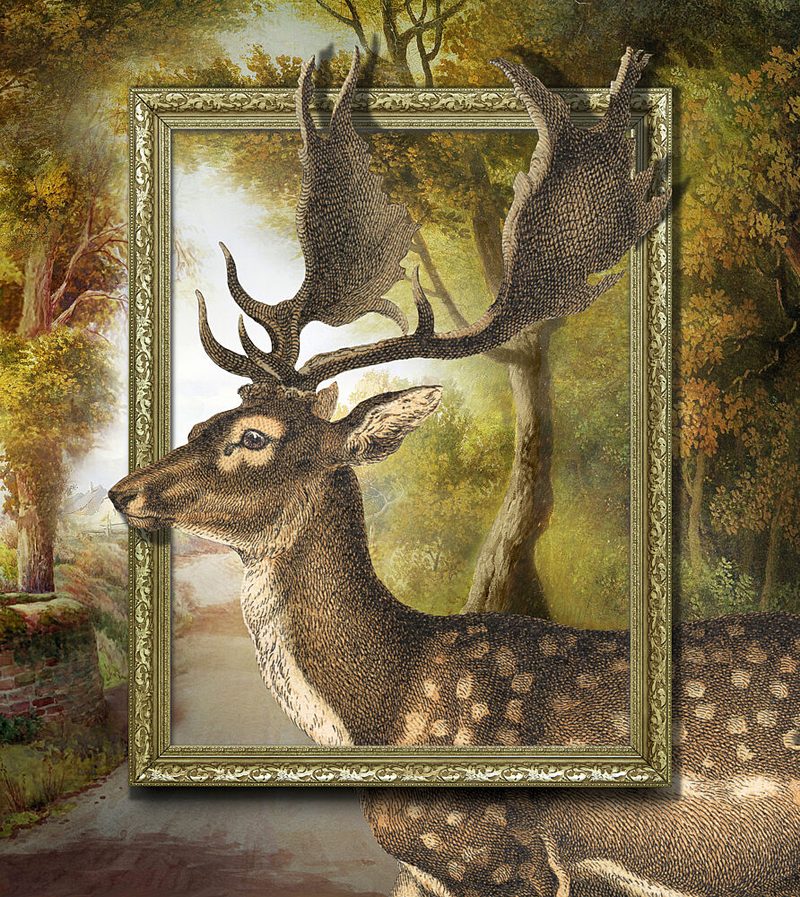 Deer Emerging from Frame art print by Marja van den Hurk for $57.95 CAD