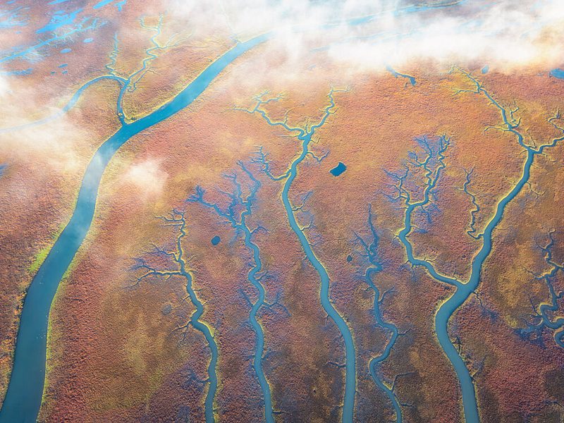 Vibrant Autumn Wetlands art print by Mei Xu for $57.95 CAD