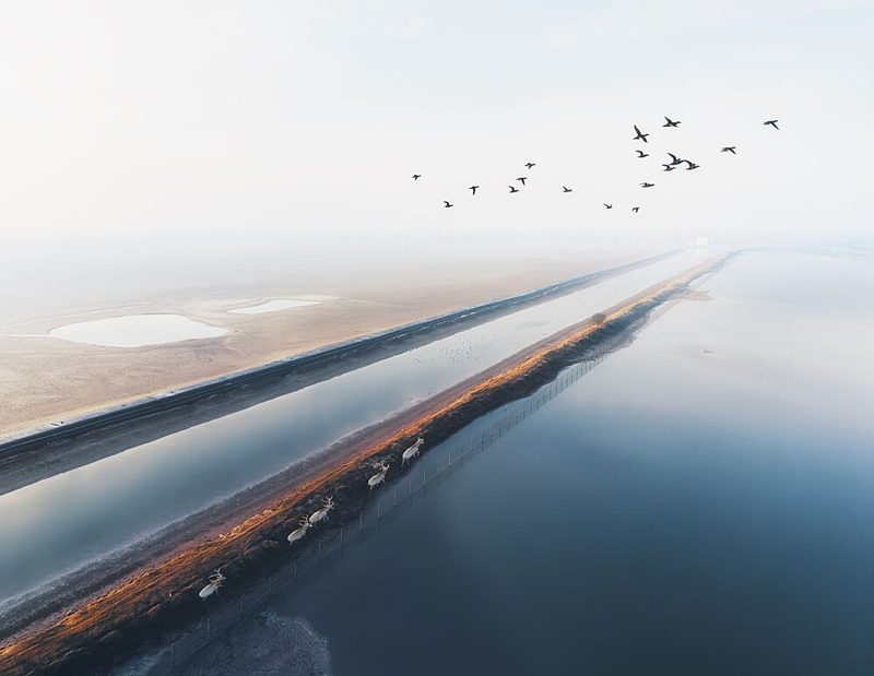 Misty Path of Flight art print by Gu and Hongchao for $57.95 CAD