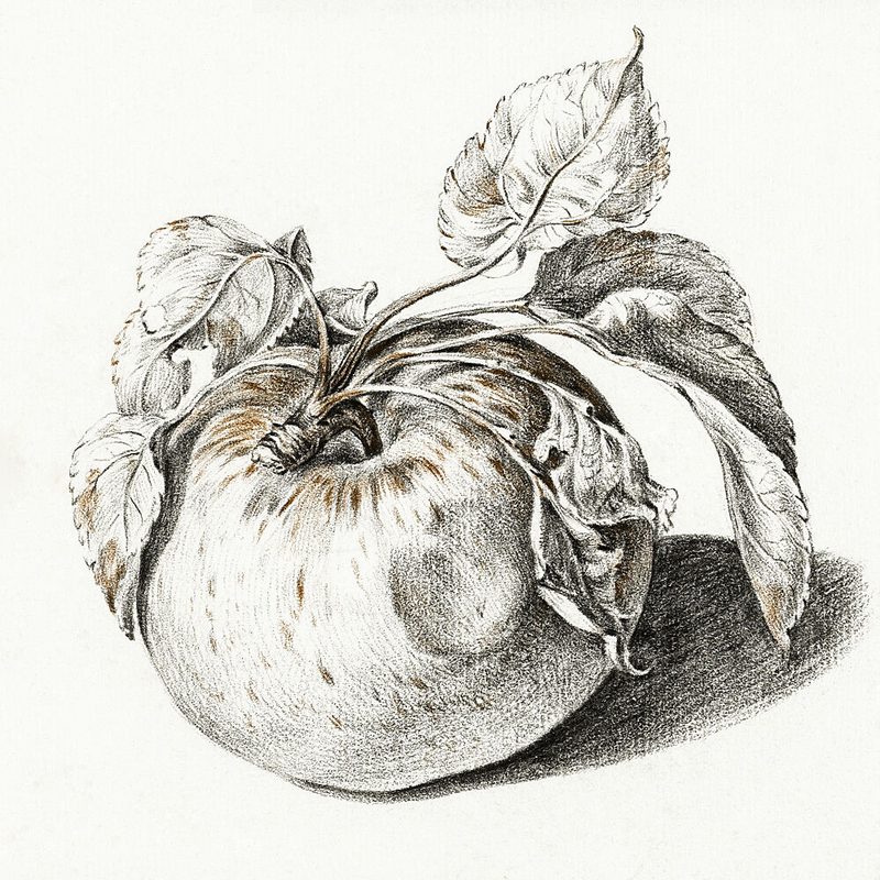 Apple art print by Jean Bernard for $57.95 CAD