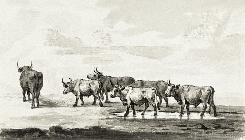 Group of Six Bulls art print by Jean Bernard for $57.95 CAD