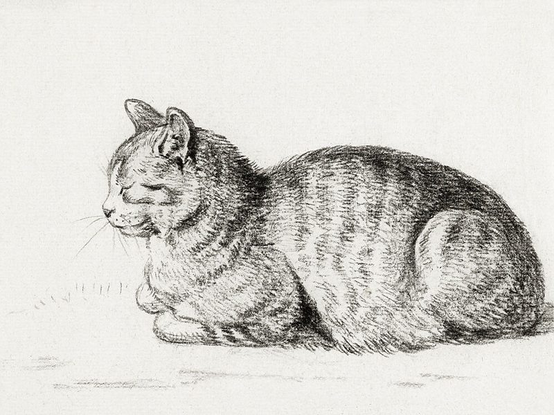 Lying Cat 1811 art print by Jean Bernard for $57.95 CAD