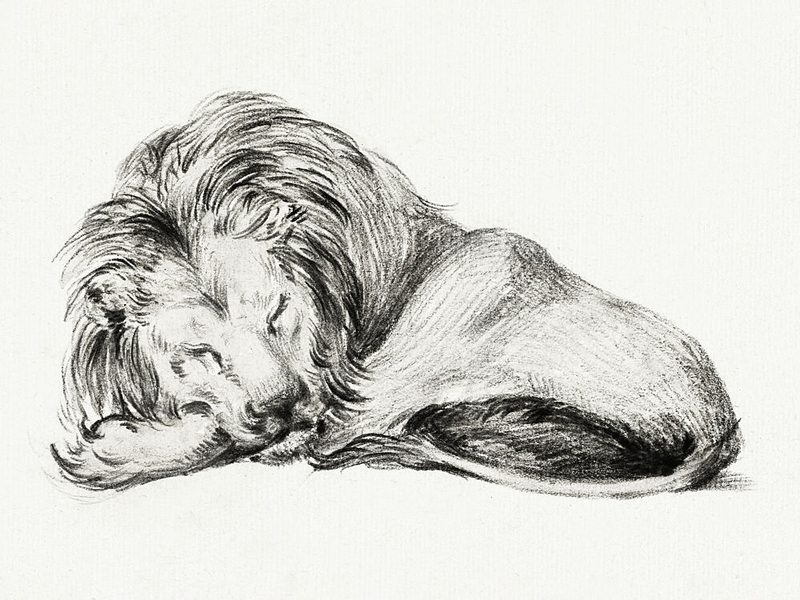 Lying Lion art print by Jean Bernard for $57.95 CAD