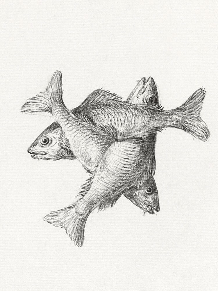 Three Fishes 17751833 art print by Jean Bernard for $57.95 CAD