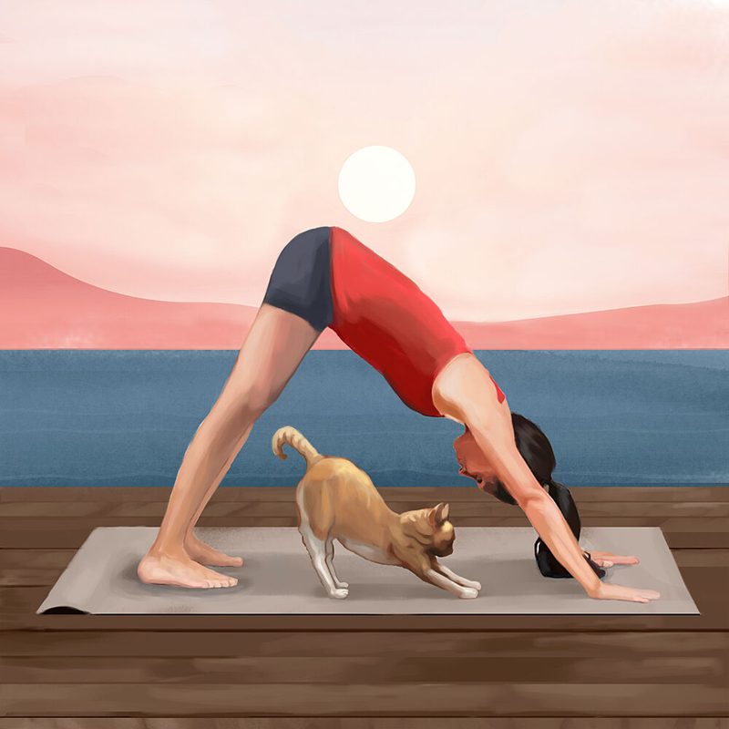 Sunrise Yoga Cat art print by Flow Line for $57.95 CAD