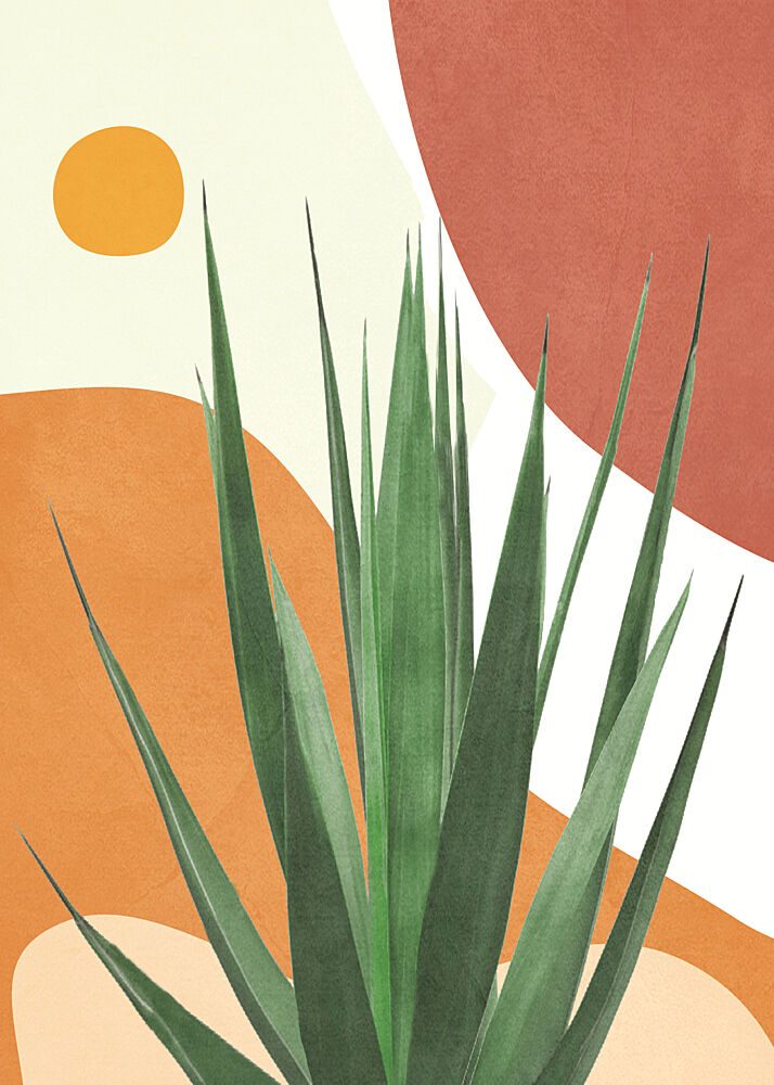 Modern Desert Agave art print by Flow Line for $57.95 CAD