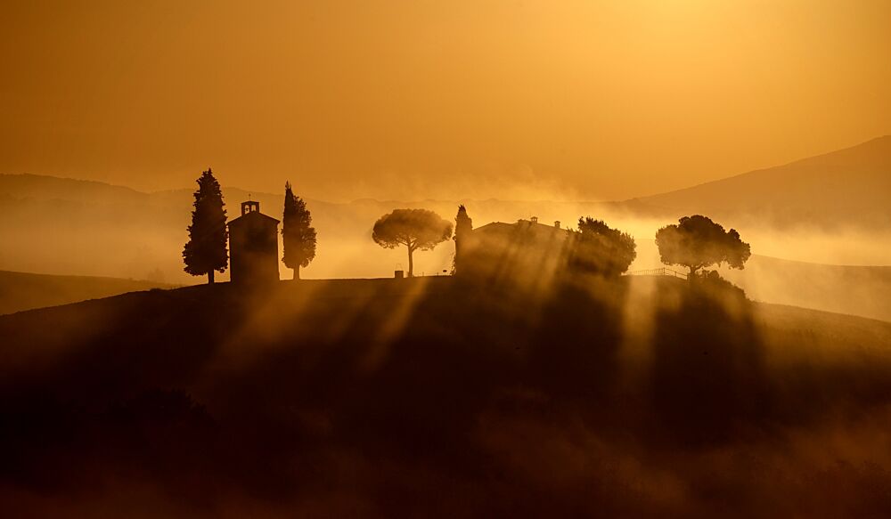 Golden Morning Mist art print by Liz Fang for $57.95 CAD