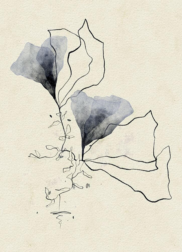 Ethereal Marine Botanicals art print by Ankie Kooi for $57.95 CAD