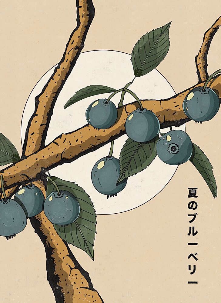 Japanese Summer Blueberries art print by Nicholas for $57.95 CAD