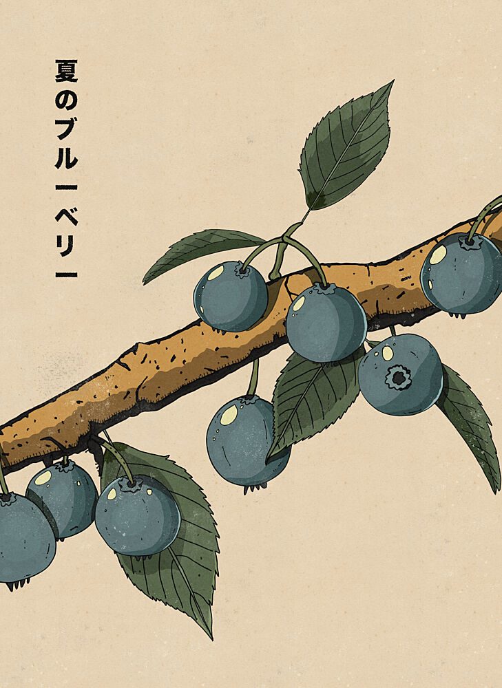 Japanese Blueberry Branch art print by Nicholas for $57.95 CAD