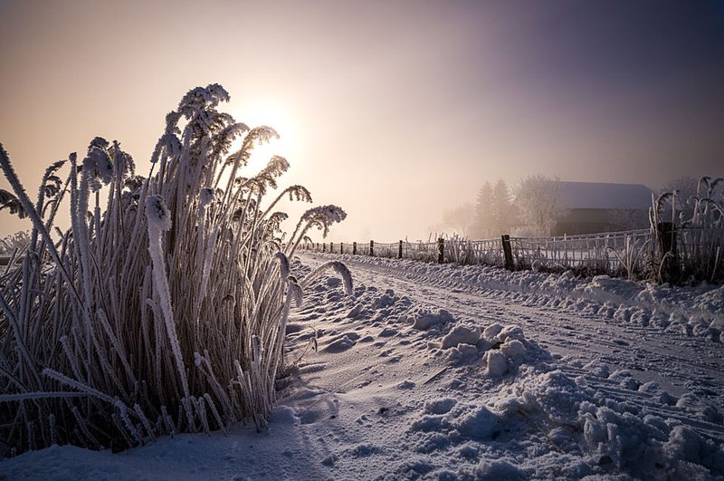 Winter Sun Path art print by Arne Jansen for $57.95 CAD