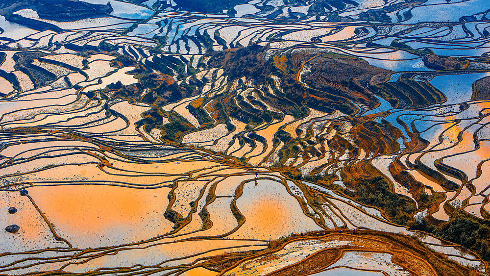 Colorful Rice Terraces Reflections art print by Ryu Shin Woo for $57.95 CAD