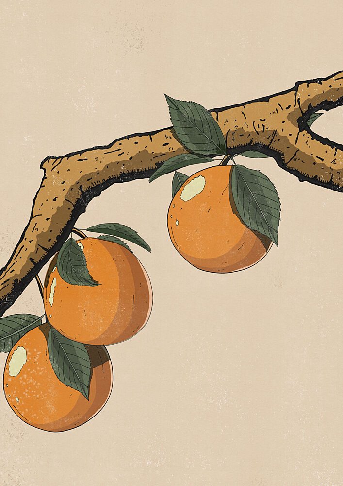 Golden Oranges Branch art print by Nicholas for $57.95 CAD
