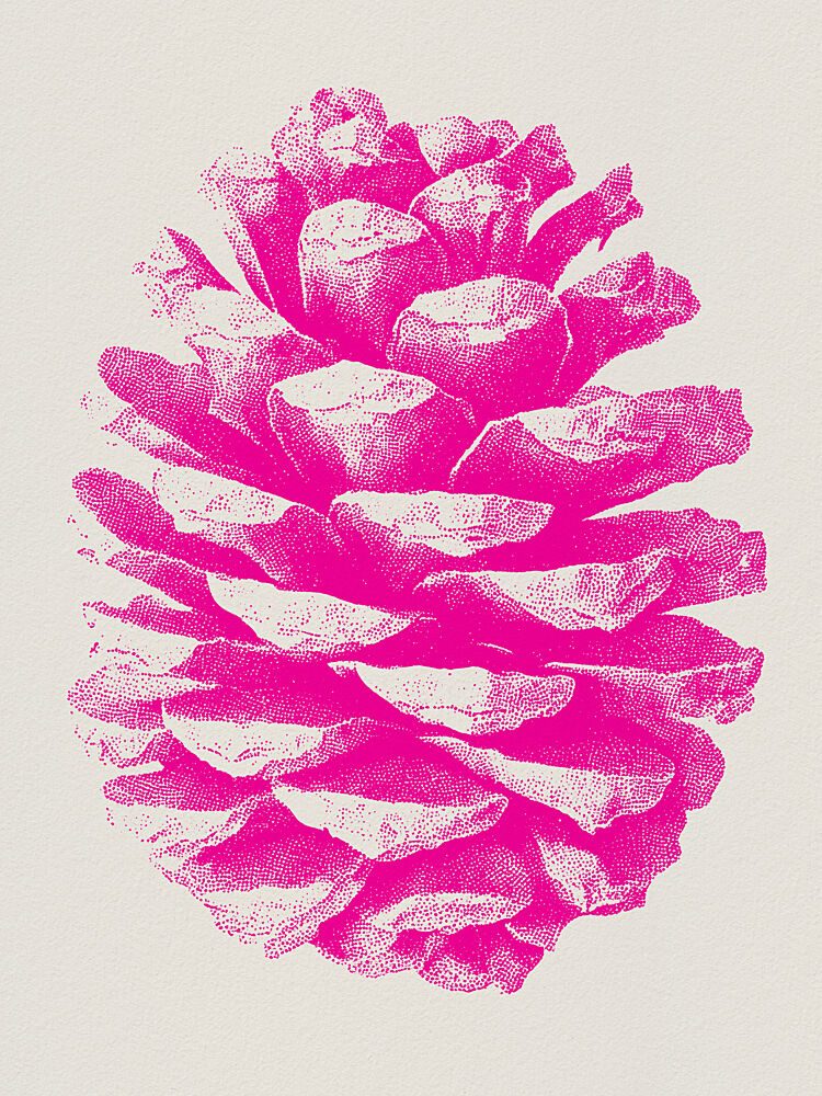 Vibrant Pink Pinecone art print by Andreas Magnusson for $57.95 CAD