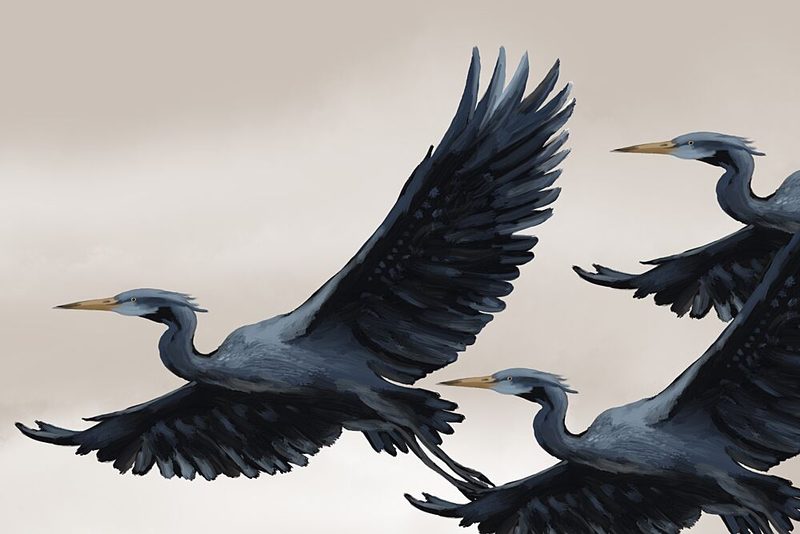 Graceful Flying Herons art print by Josie George for $57.95 CAD